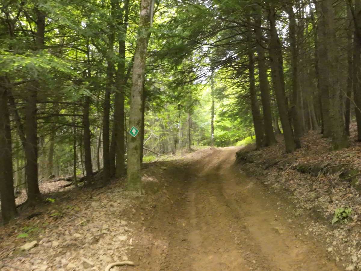 G3 Pee Wee Area photo 4