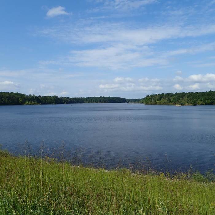 Near St. Mary's Lake Loop Trail Near St. Mary's Lake Loop Trail