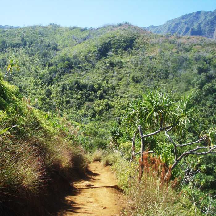 Near Kalalau to Hanakapia'i Beach Near Kalalau to Hanakapia'i Beach