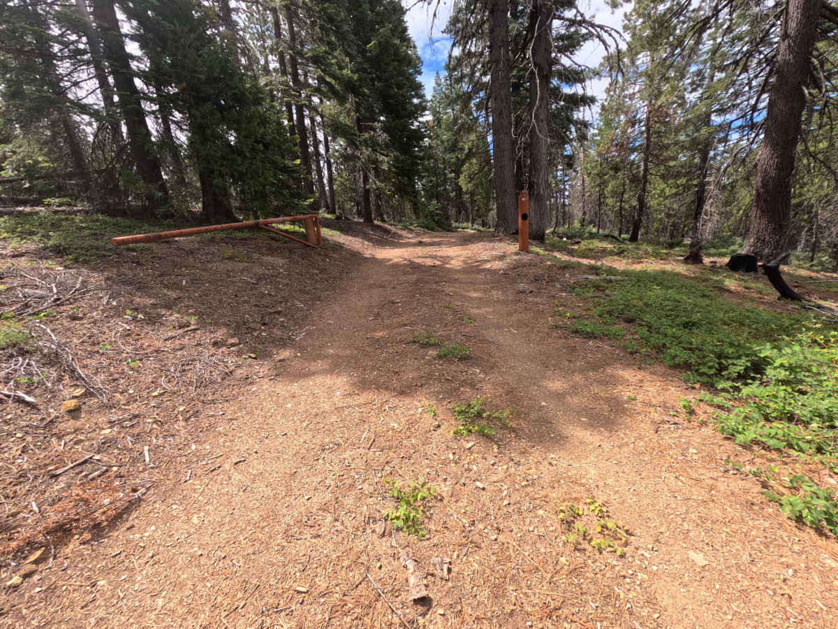 Wallow - FS 20N126 photo 6