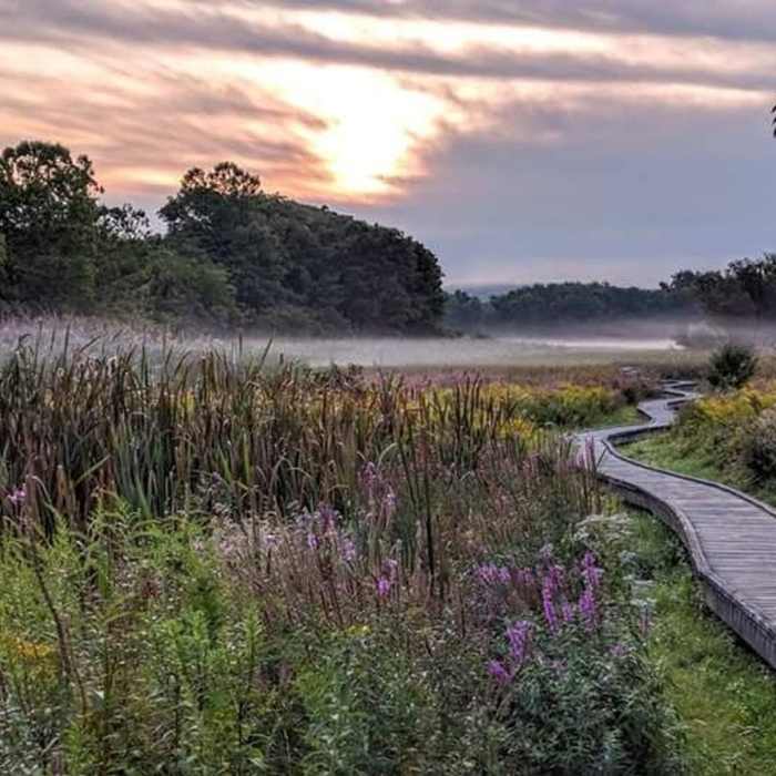 A few steps onto the Appalachian Trail Boardwalk and this view already makes it a perfect morning. Near Pinwheel Vista Out-and-Back