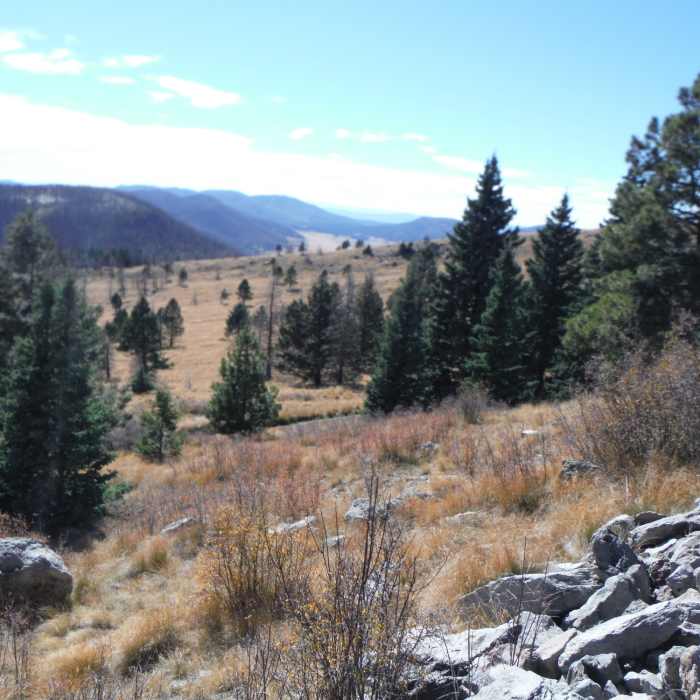 Near Pajarito Mountain Loop