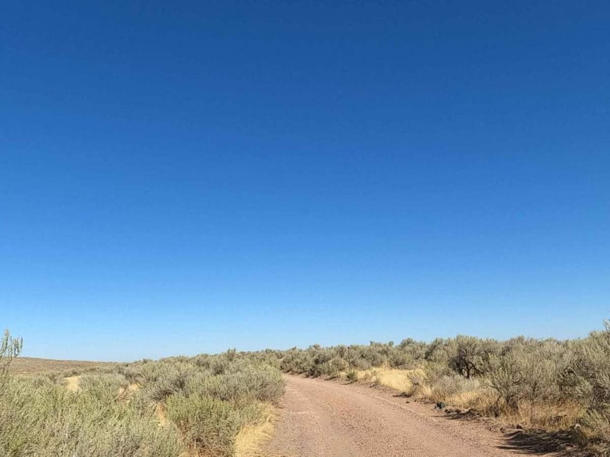 Coffeepot Crater Road photo 6