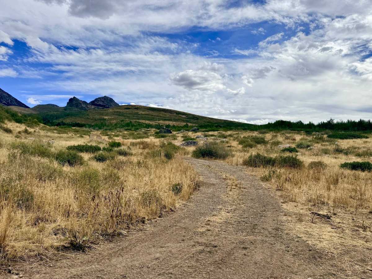 Chicken Creek Route - FS 56159 trail photo