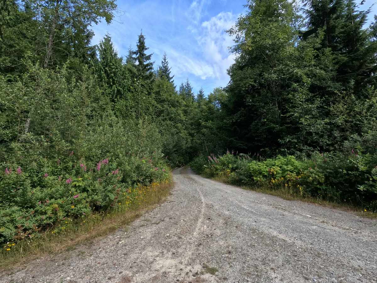 Van Zandt - 34 trail photo