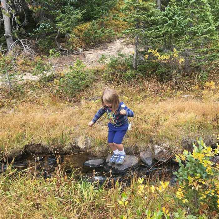 Near Zimmerman Lake Trail