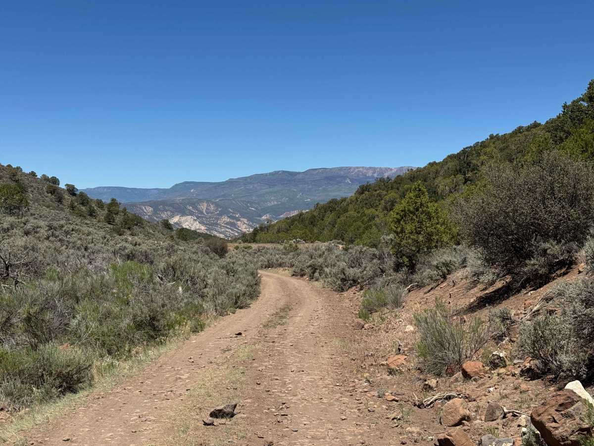 50 Road trail photo