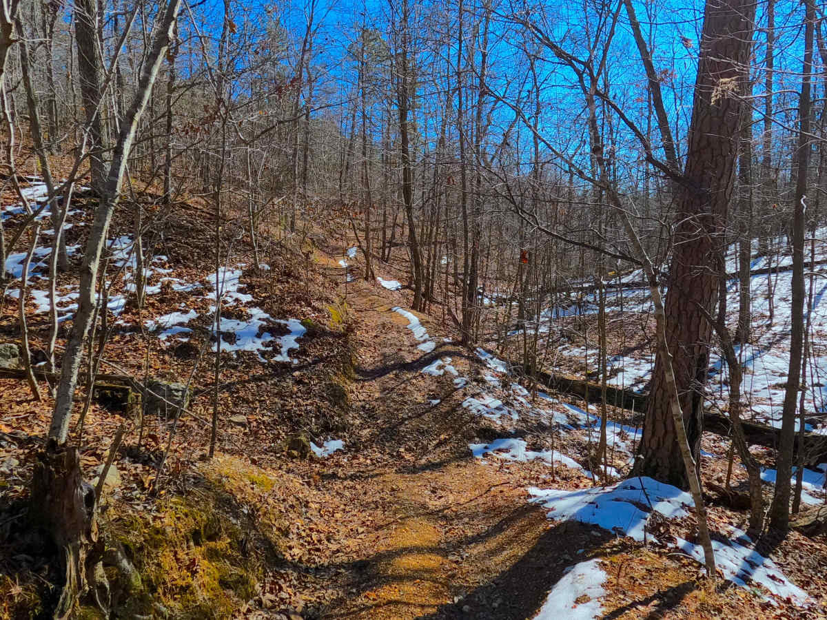 Sutton Bluff ATV 11 - SB 11 photo 6