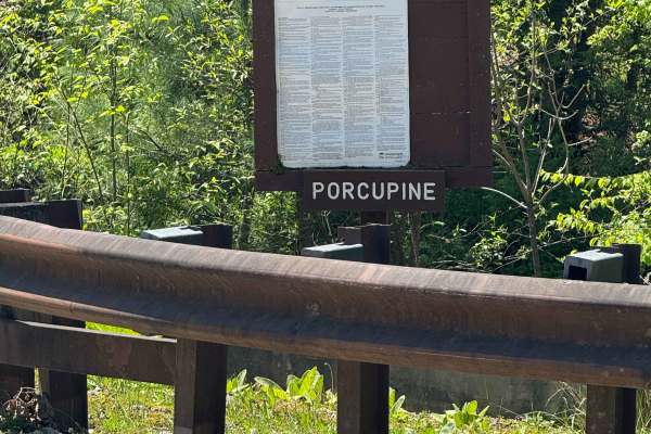 Porcupine Road