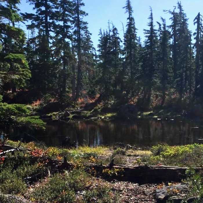 Near Santiam Pass to Olallie Lake Near Santiam Pass to Olallie Lake