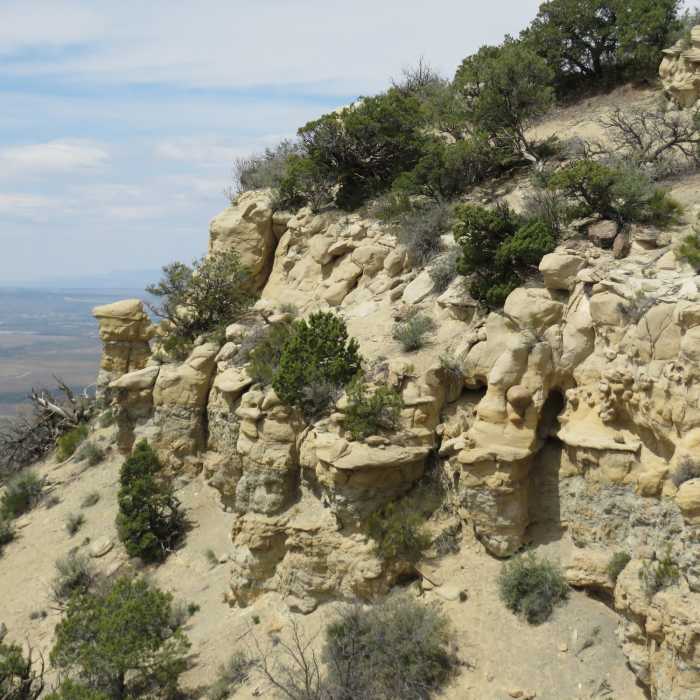 Near Sarlacc Trail