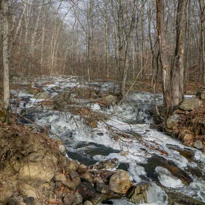 Near Clarence Fahnestock Trail Loop Near Clarence Fahnestock Trail Loop