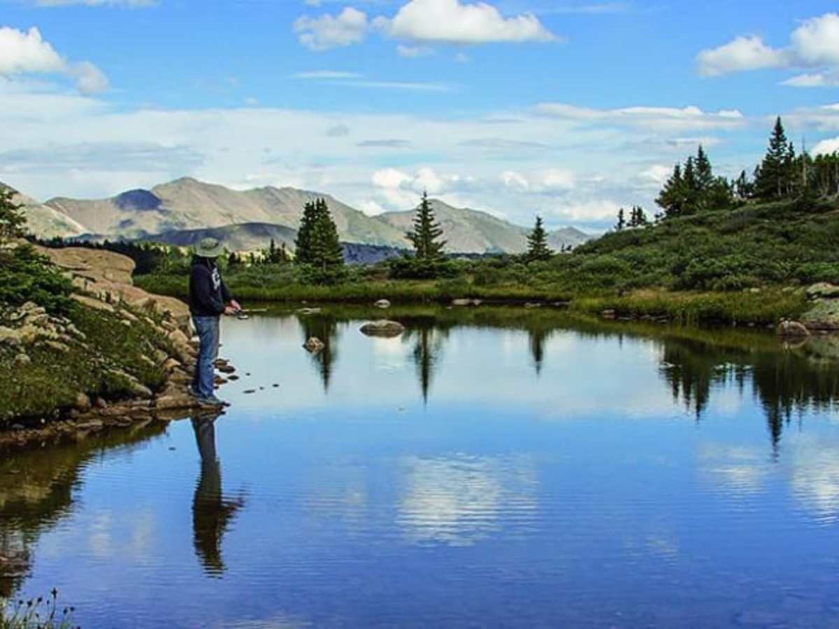 Taylor Pass trail photo