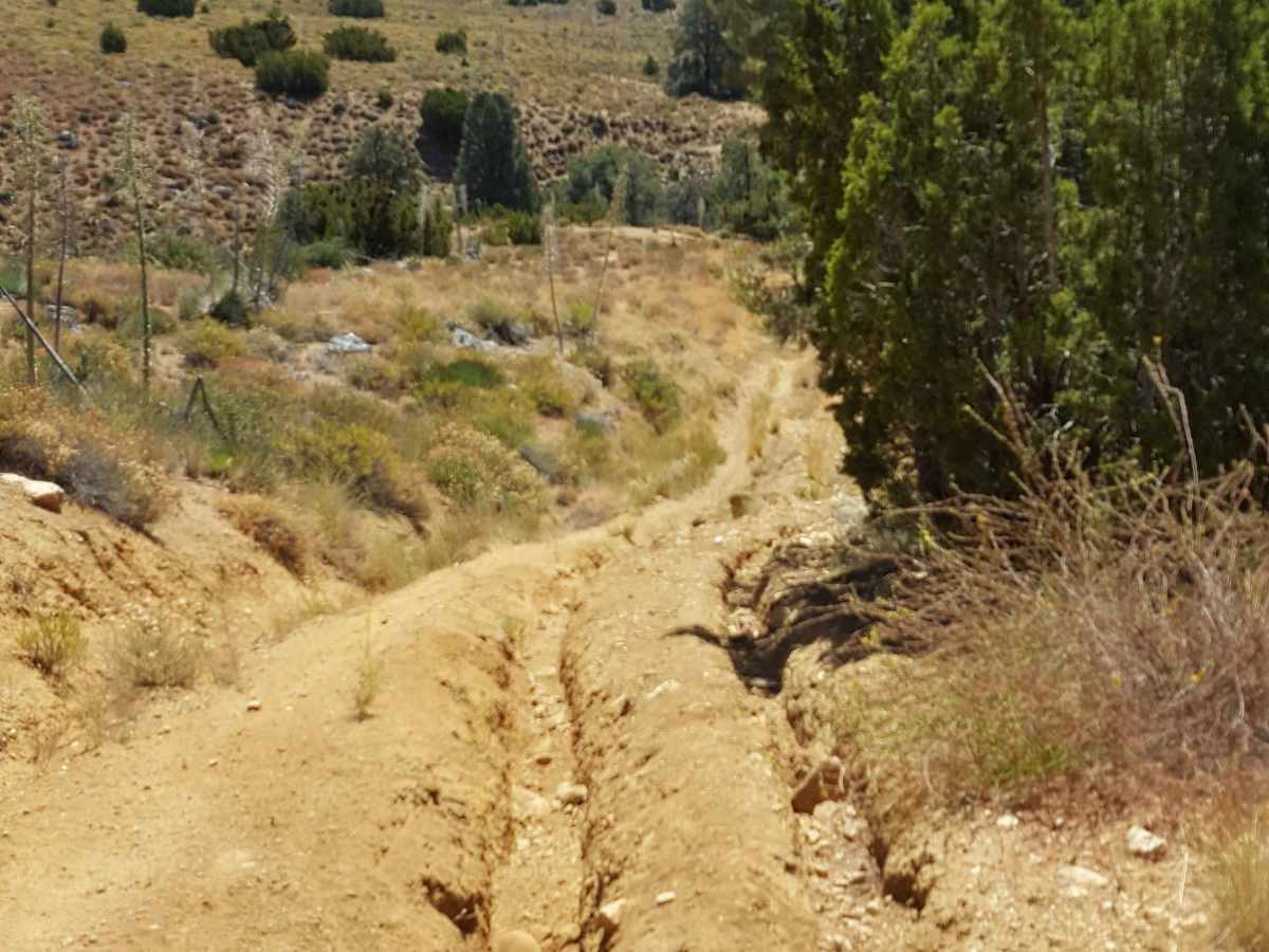 Piru Creek - FS 20W07 photo 2