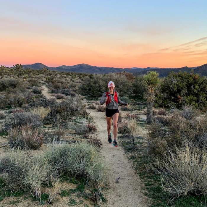 Near Central Joshua Tree Loop