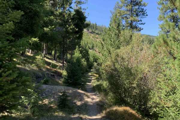 Cow Creek Road and Shiefman Hiking Trail