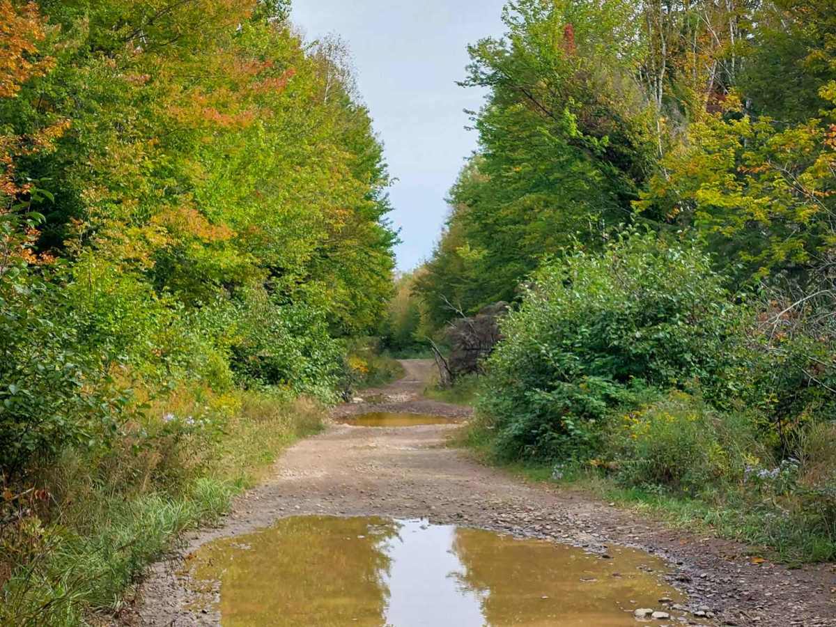 Gravel Island Road photo 3