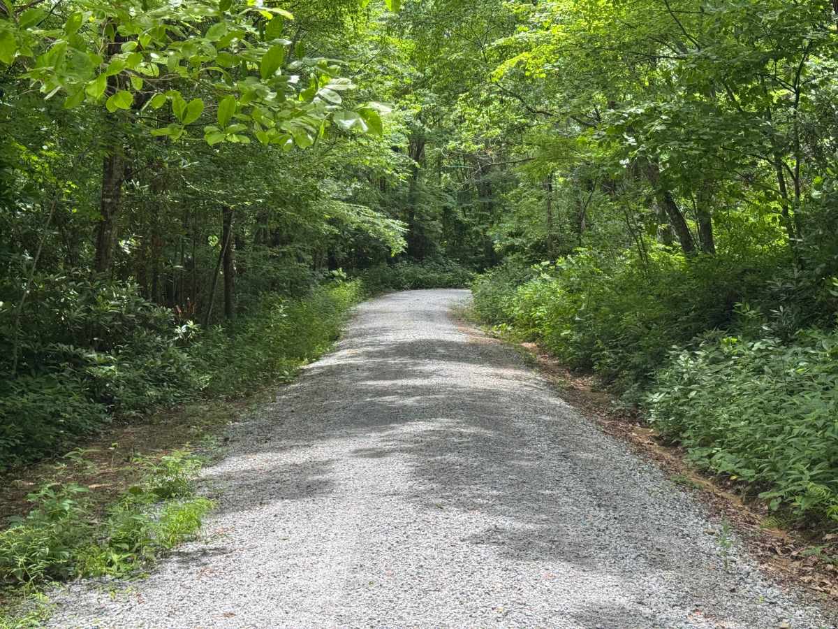 Dryman Fork - FS 421 photo 2