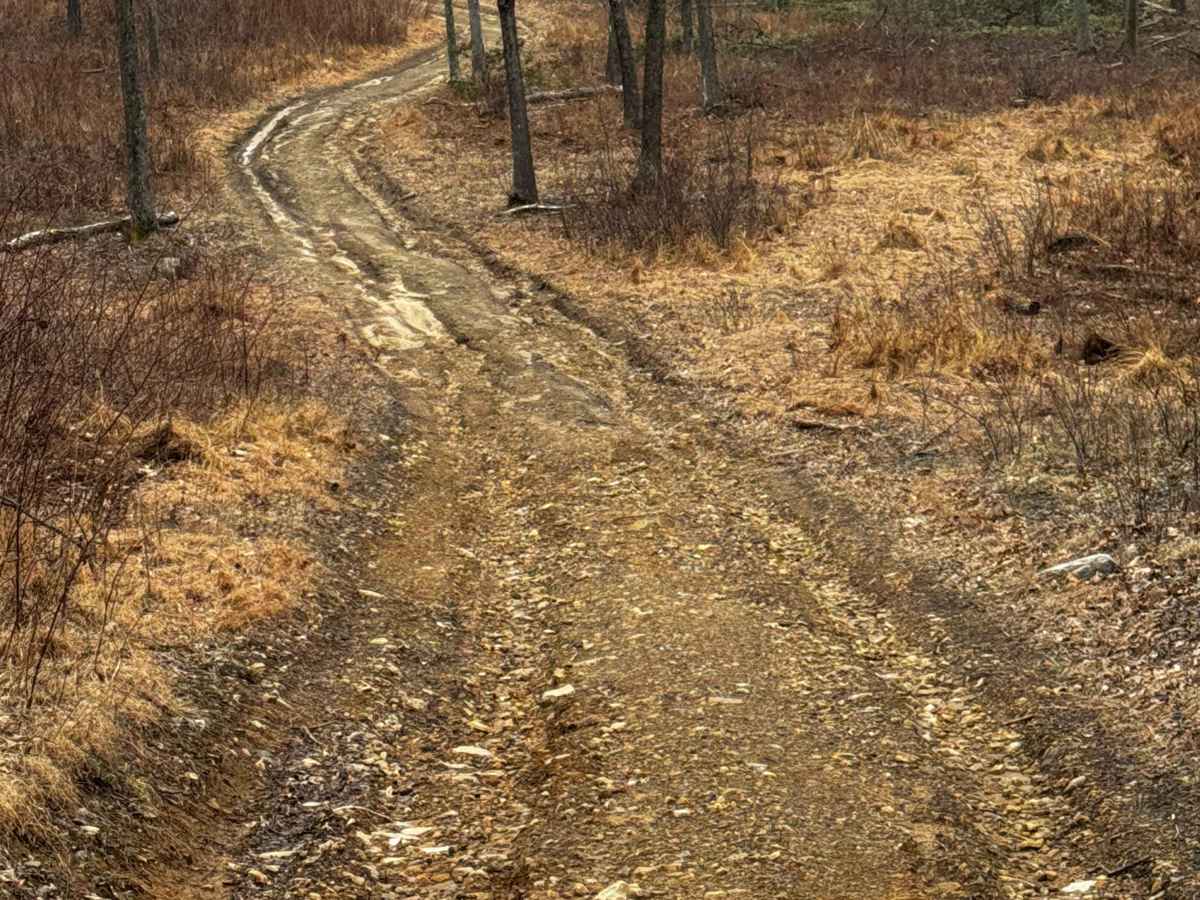 Bartley Hollow Road photo 5