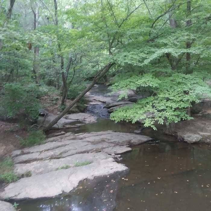 Near Salem Lake Trail