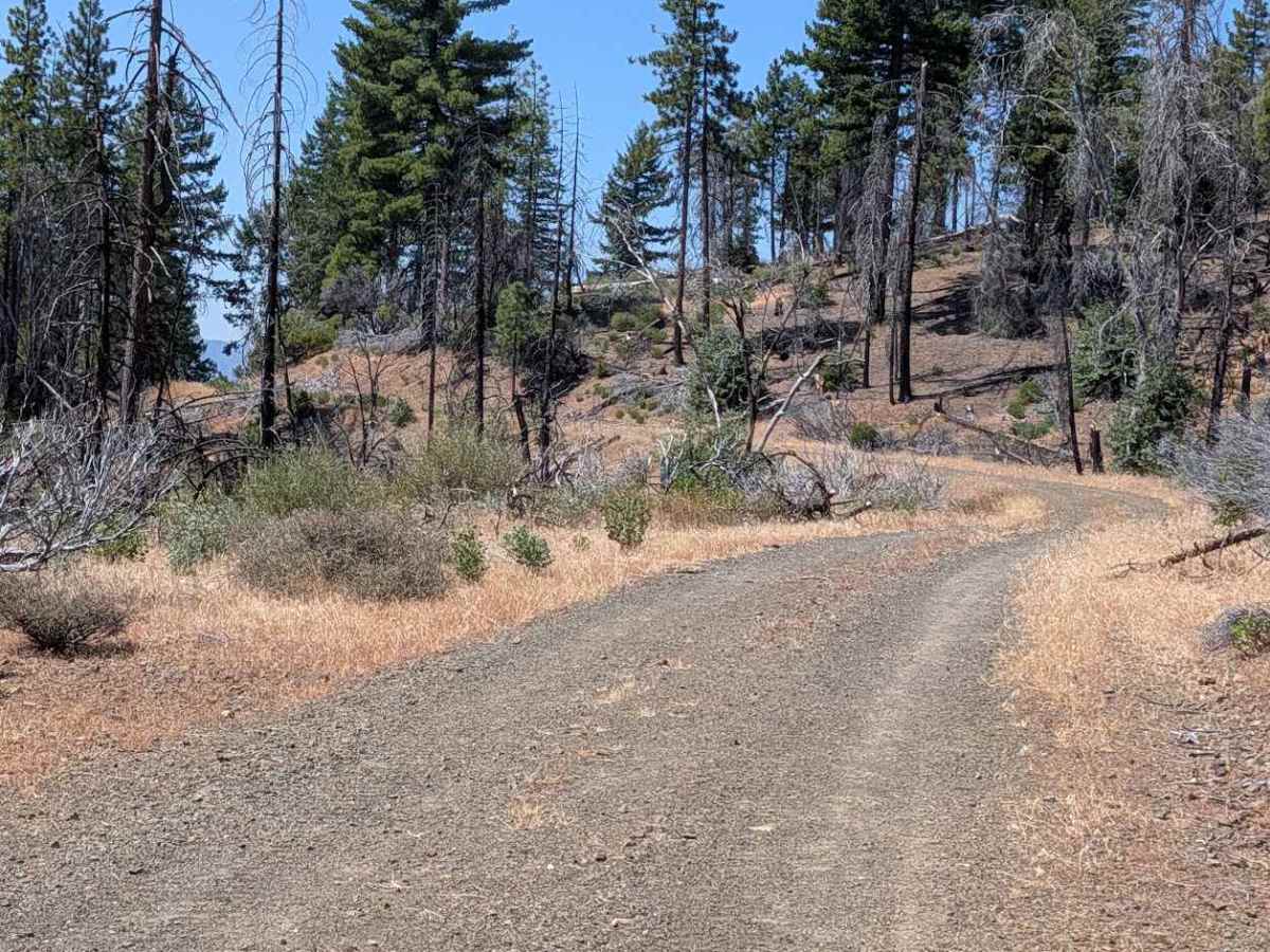 Smoky Road - FS 29N76 photo 6