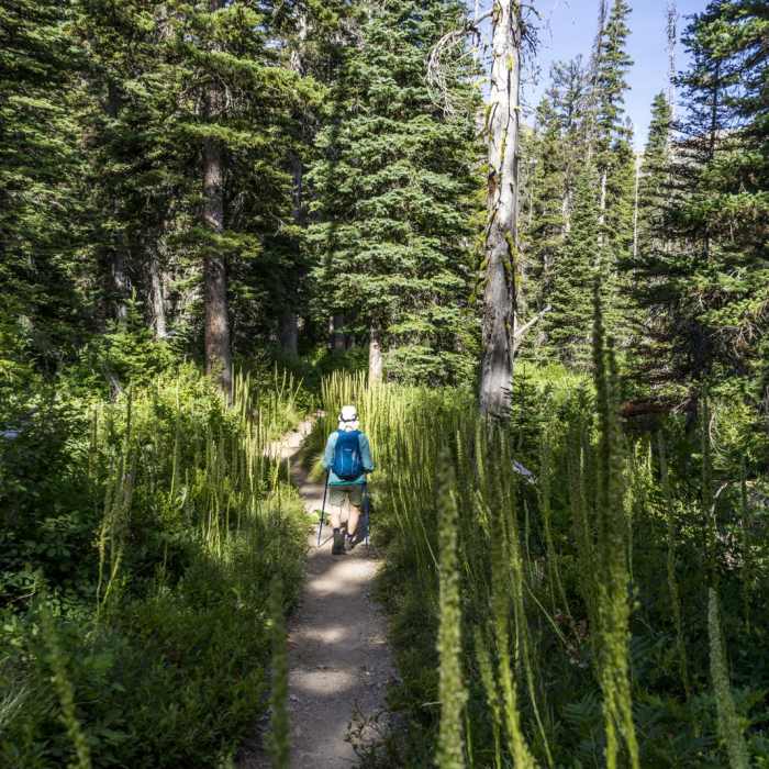 Near Upper Two Medicine Lake Hike
