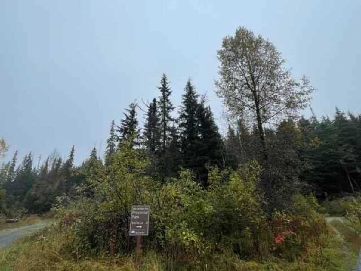 Brown Bear Road trail photo