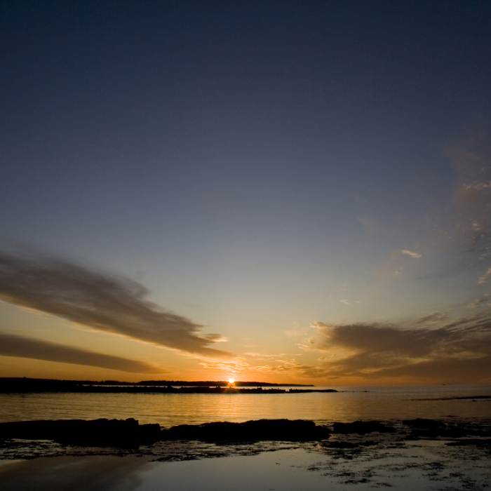 Near Wonderland Trail