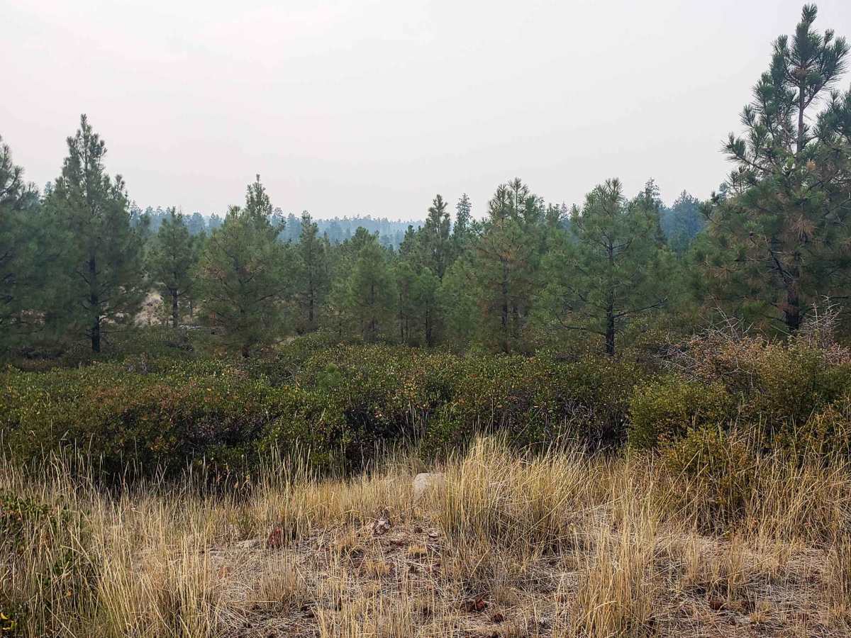 Recovery Ridge photo 3