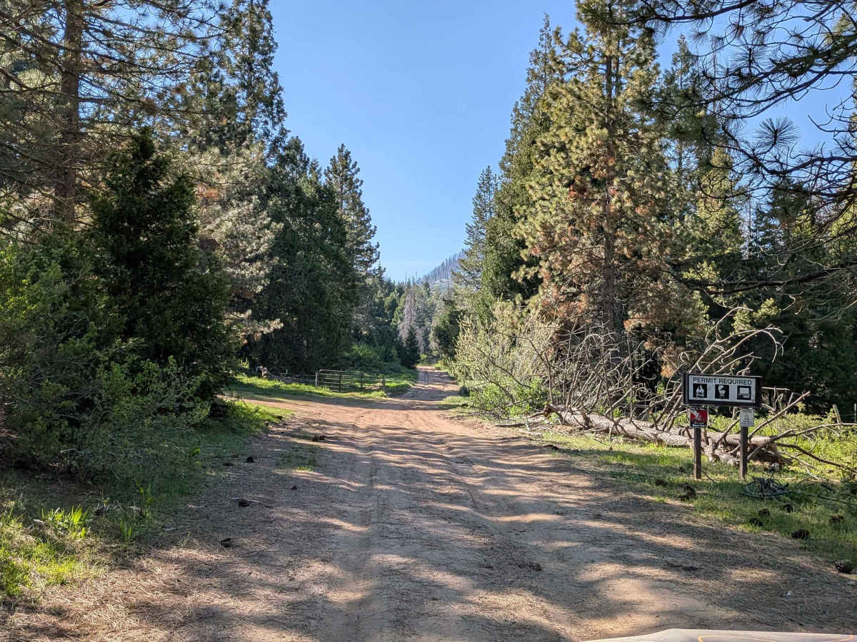Horse Meadow Creek - FS 22S04 trail photo