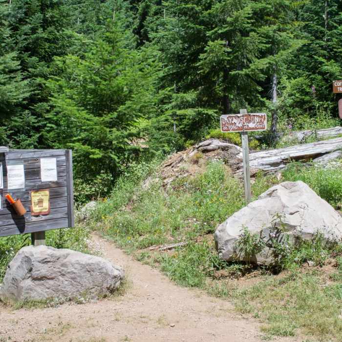 Near Coffin Lookout Trail