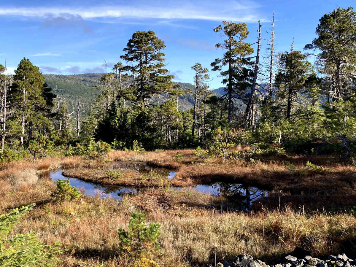 Lake Ellen West Spur - FS 2030206 photo 6
