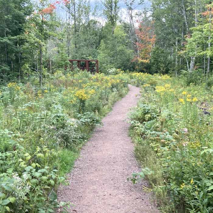 Near Morgan Falls Trail Near Morgan Falls Trail