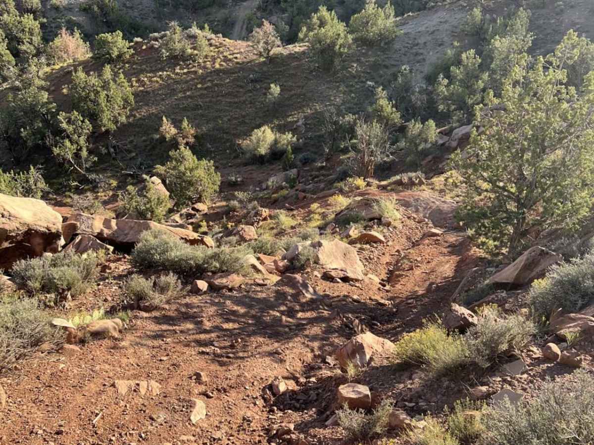 Virgin Overlook photo 3