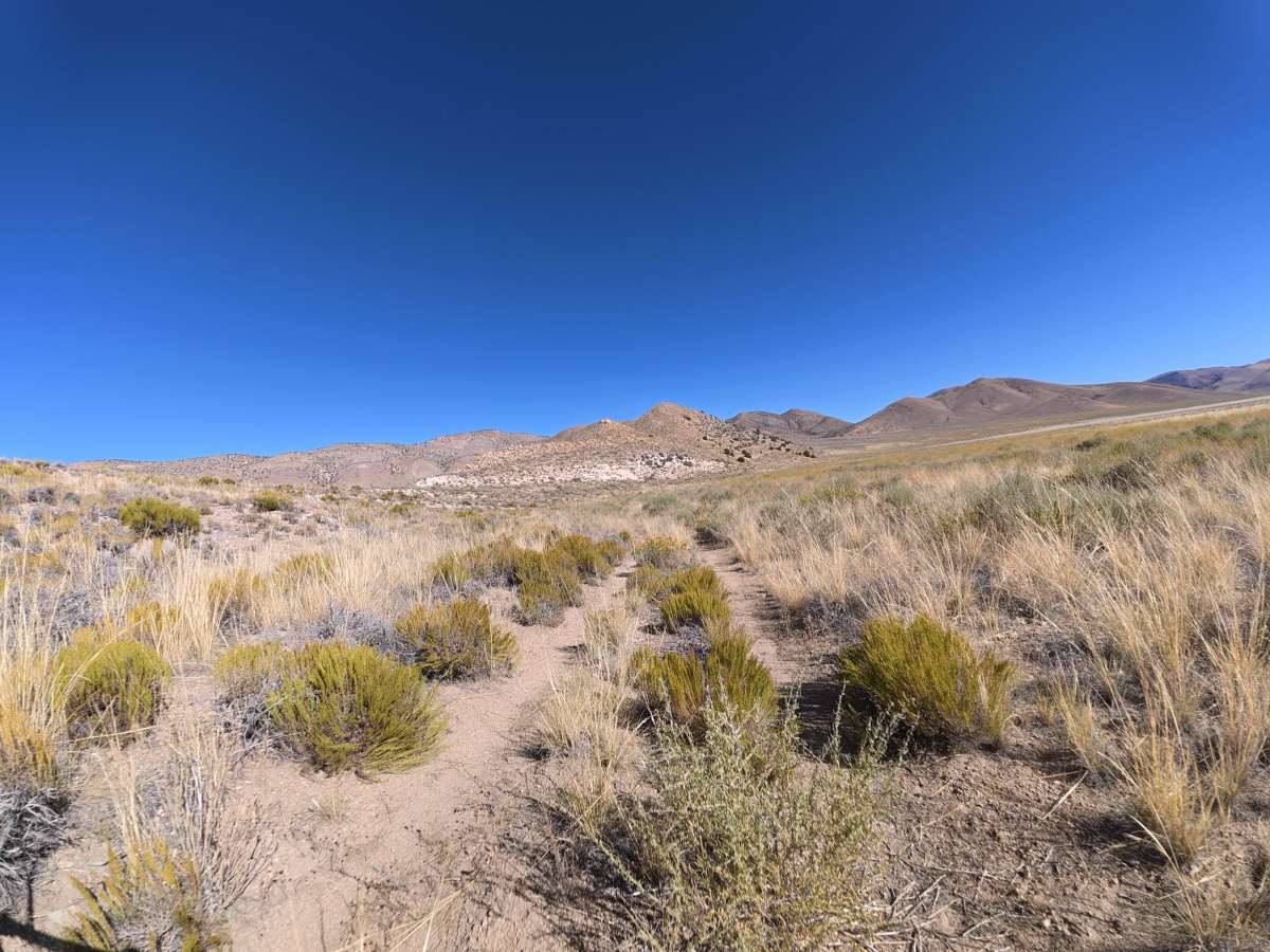 FS 9S108 trail photo