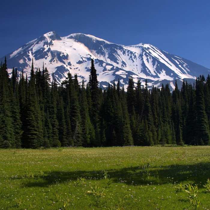 Near Stagman Ridge Trail #12