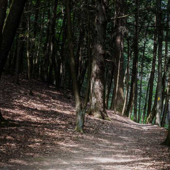 Near Van Campens Glen Hike Near Van Campens Glen Hike