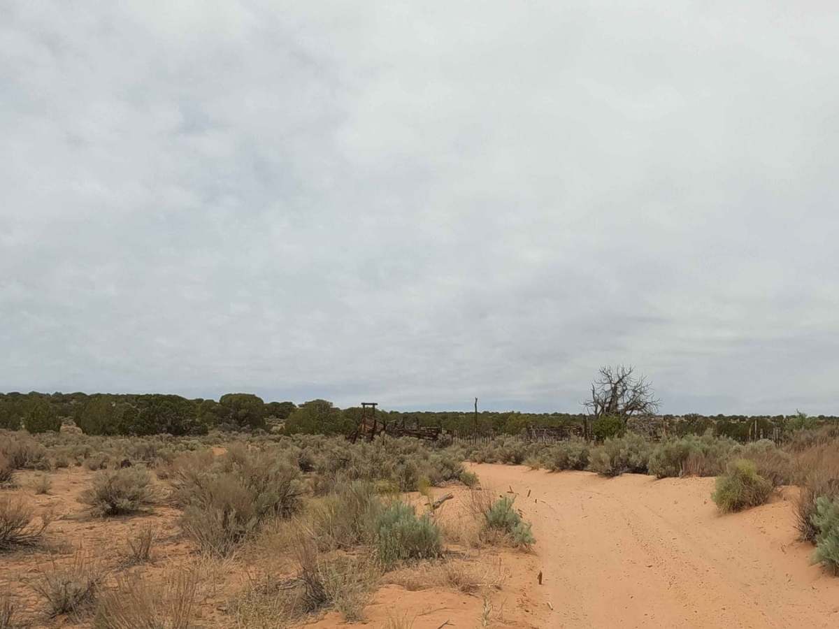 NM-1323 trail photo