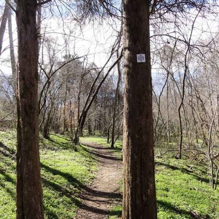 Forney Creek Trail Near Forney Creek Trail: Catawba Springs Preserve Segment