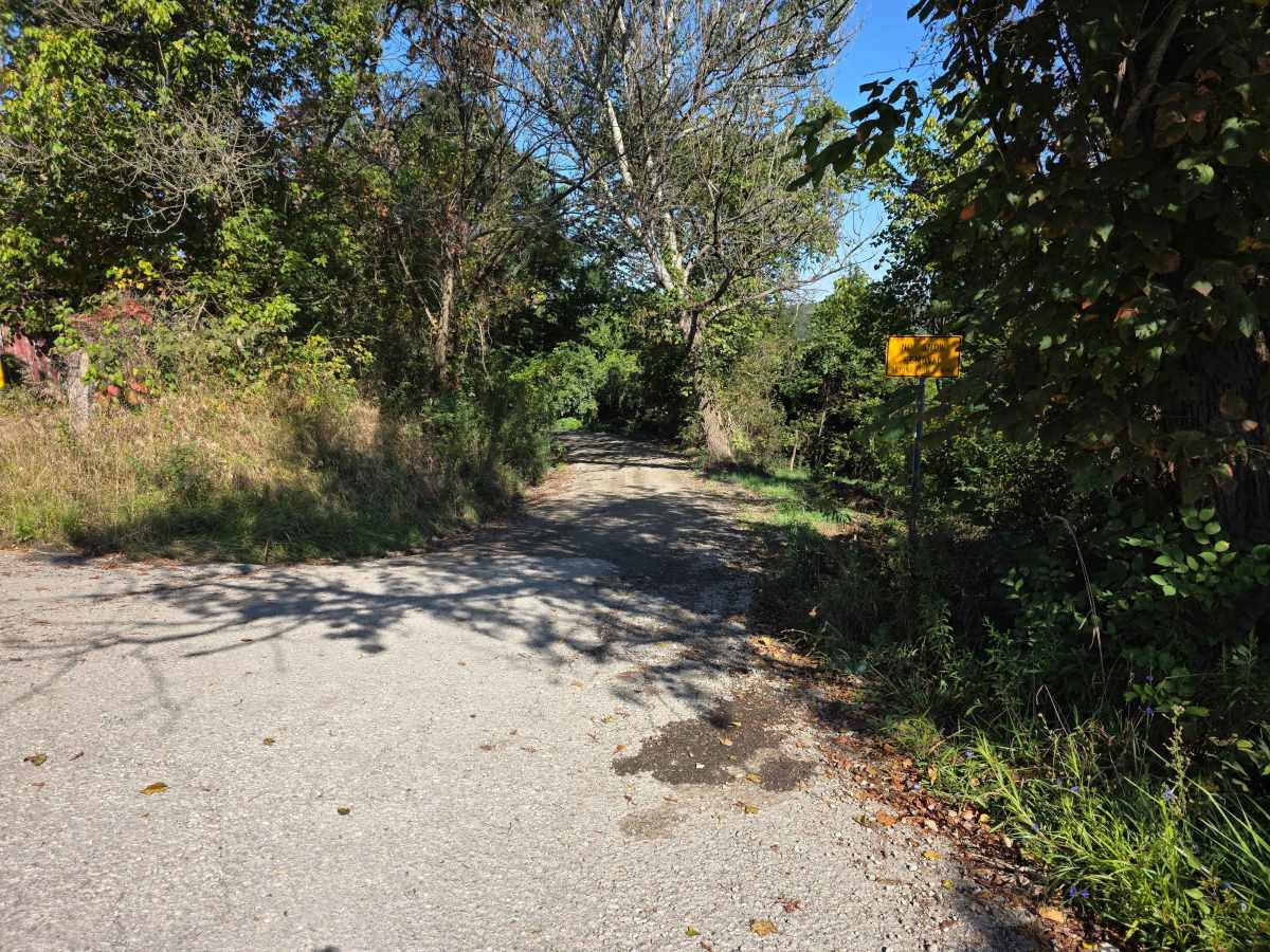 Halstead Hill Road trail photo