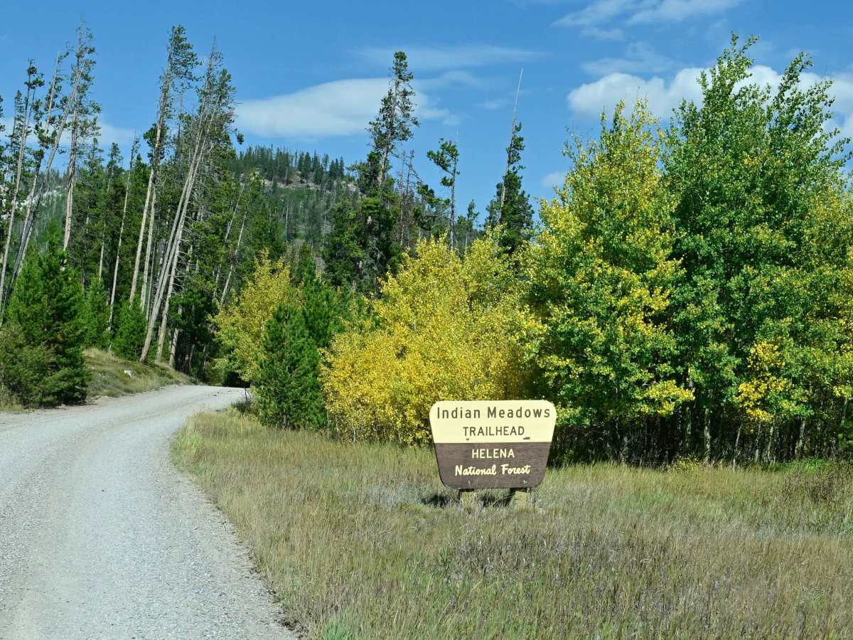 Indian Meadows photo 6