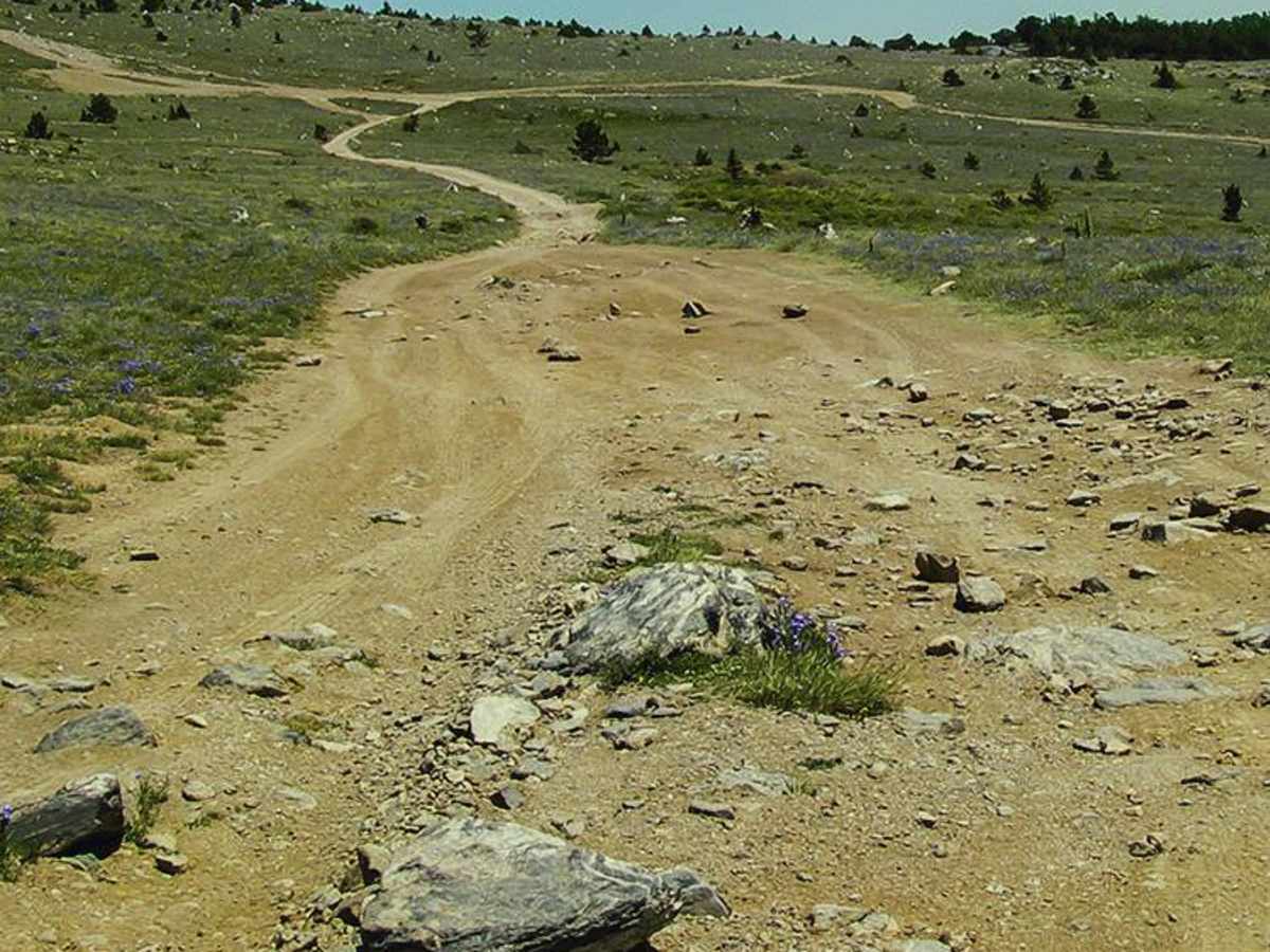 Yankee Hill Road photo 2