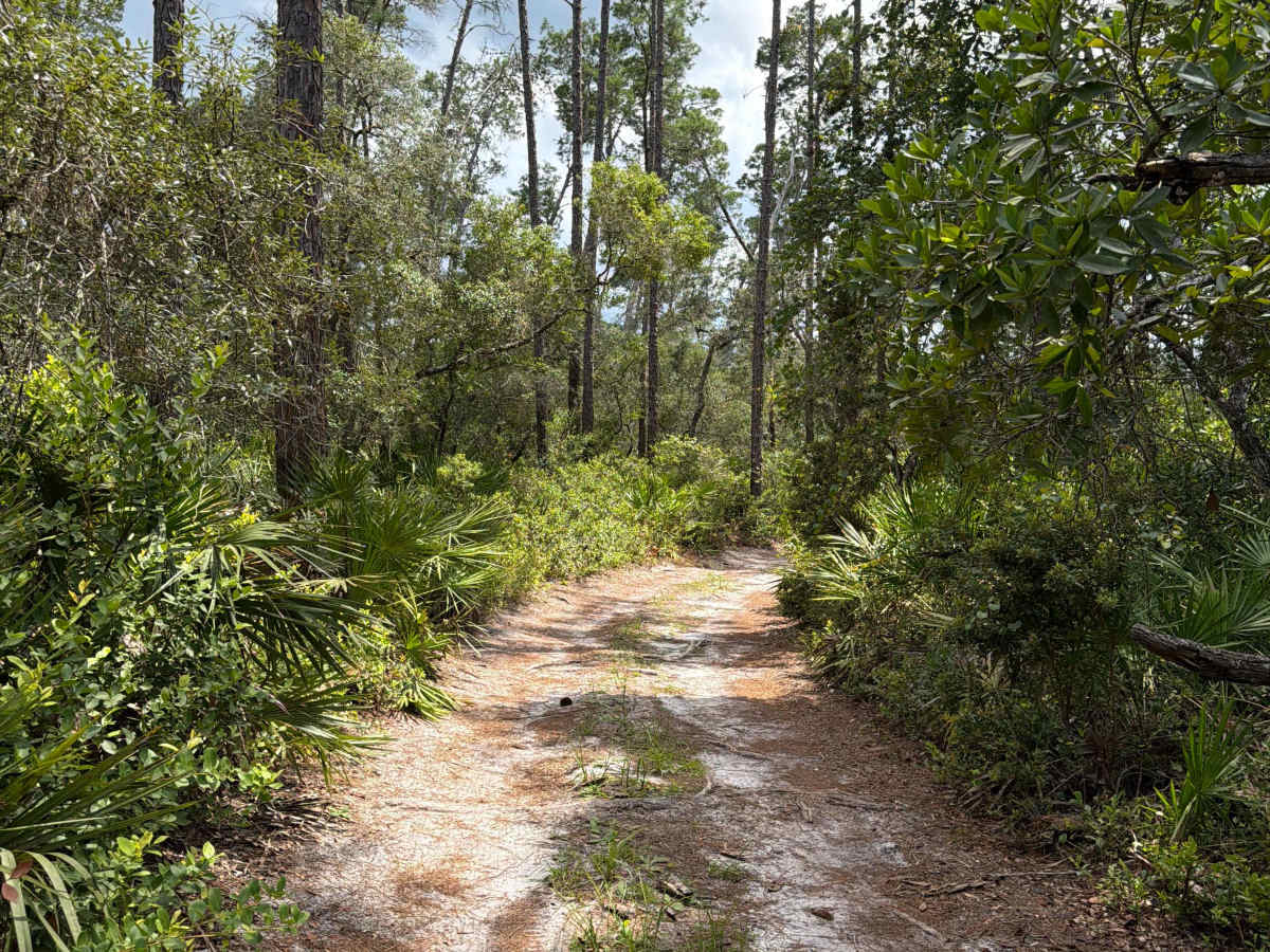 North Grasshopper Lake Trail photo 6