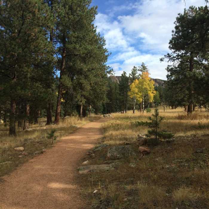 Near Davis Ponds Trail