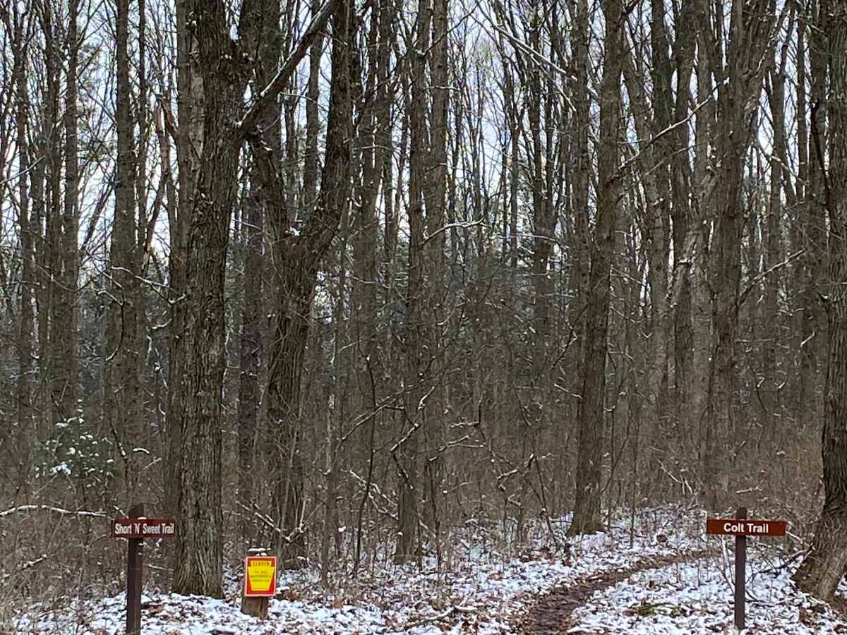 Knowlton Road  photo 4