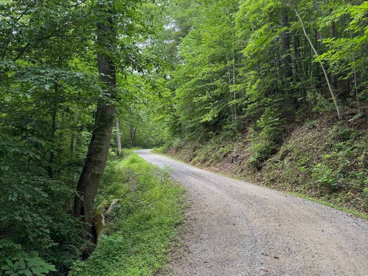Thomas Mountain trail photo