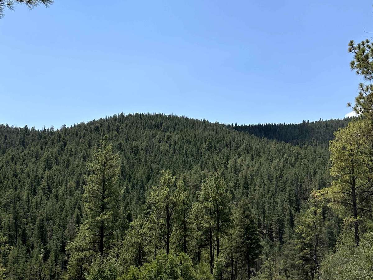 Bear Canyon photo 5
