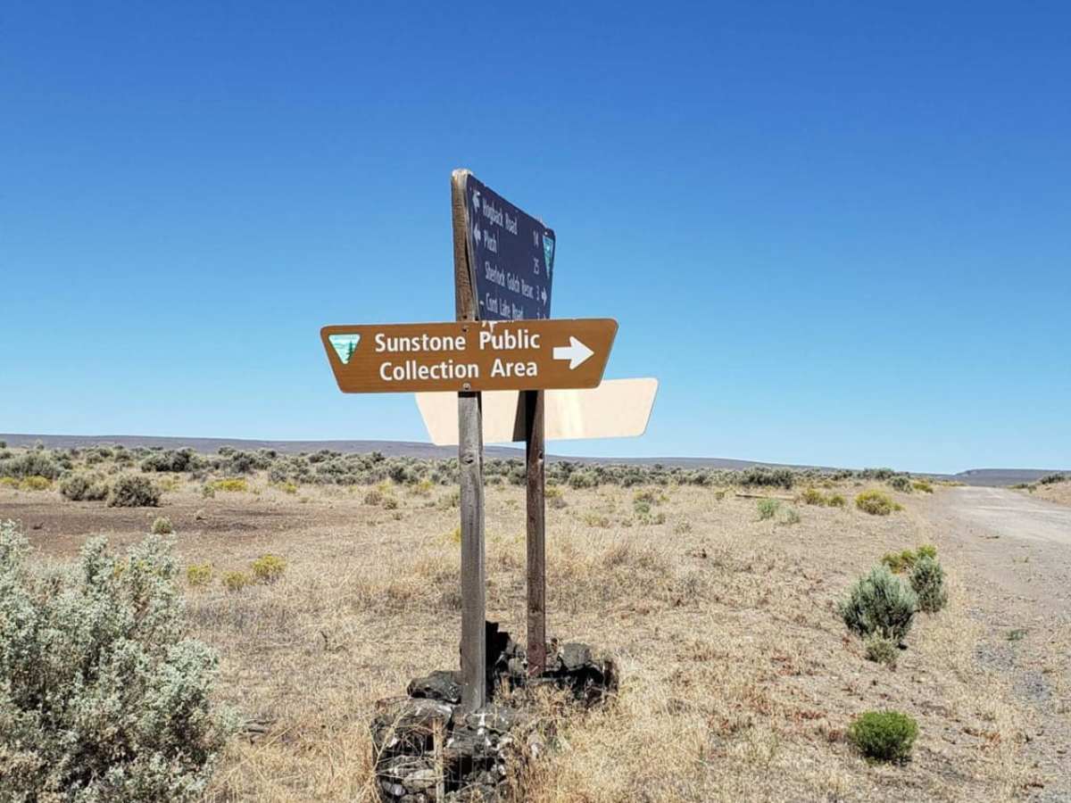 Sunstone Collection Area photo 6