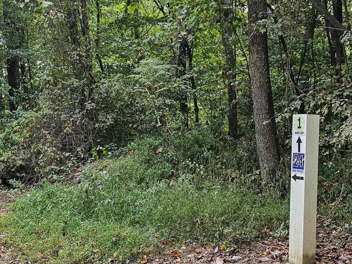 Trail 24  photo 5
