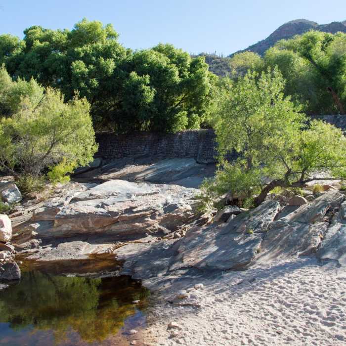 Near Sabino Lake and Bluff Trail Loop